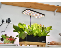 Rainpoint Zestaw do uprawy hydroponicznej - 1540785 - zdjęcie 3